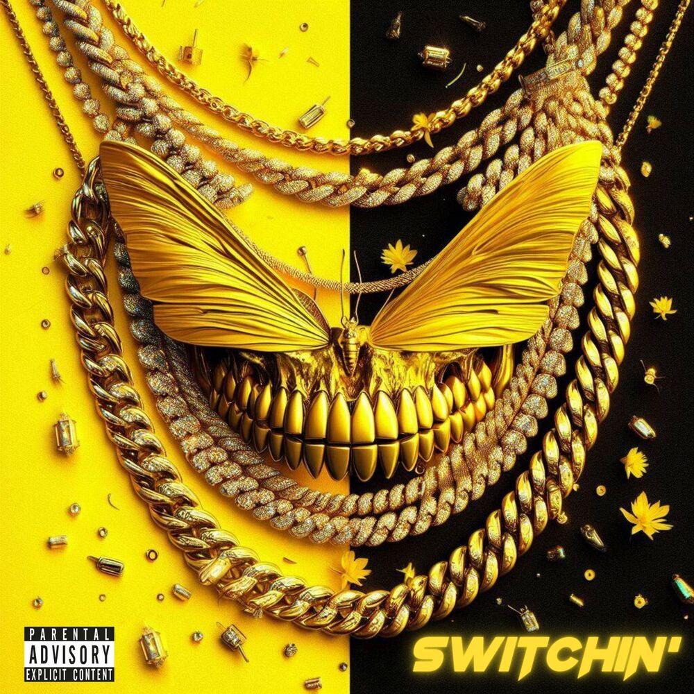 Picture of SWITCHIN'