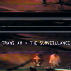 Cover of The Surveillance