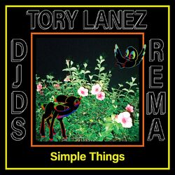 Cover of Simple Things