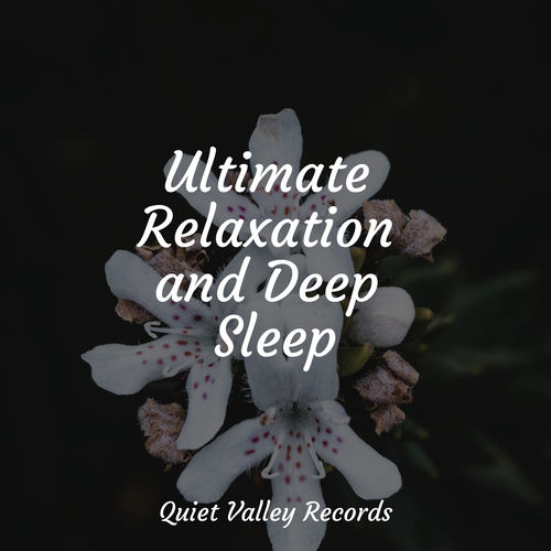 Ultimate Relaxation and Deep Sleep
