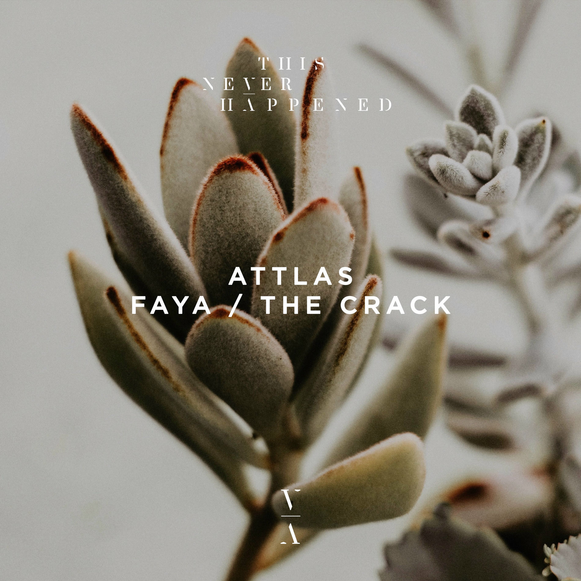 Album cover of Faya