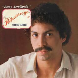 Cover of Estoy Arroyando