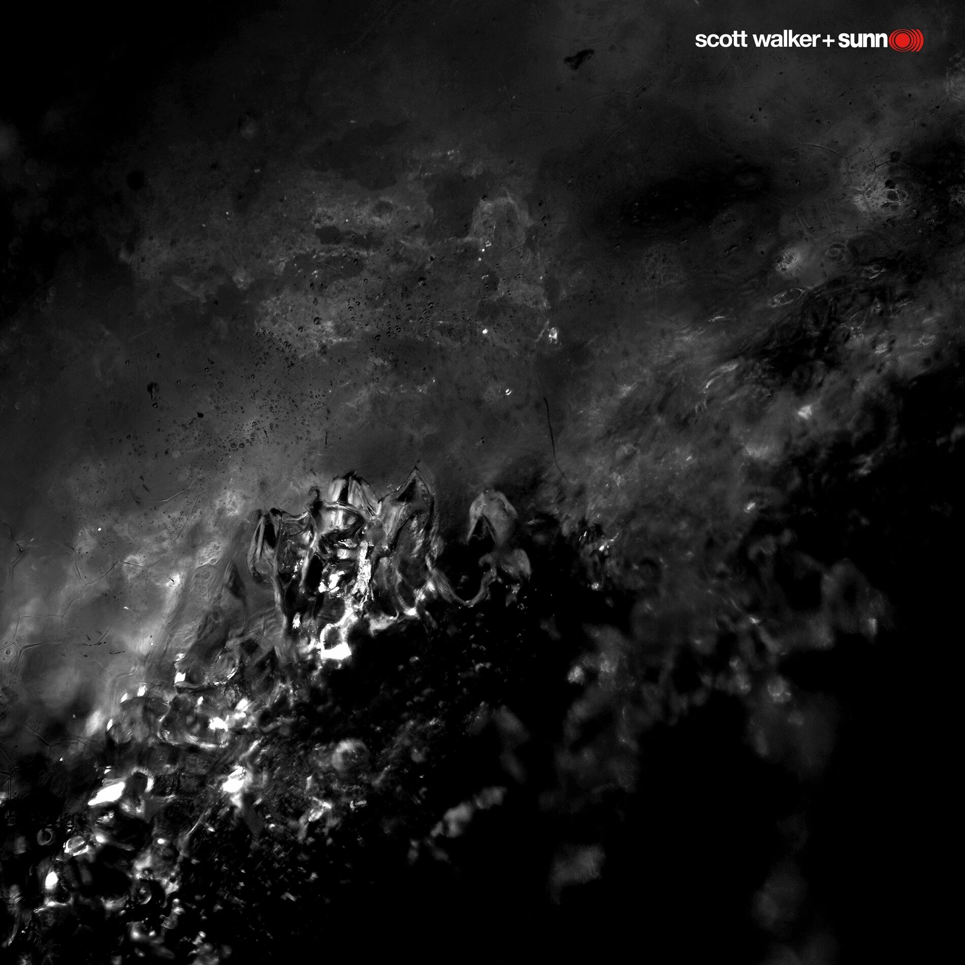 Album cover of Soused