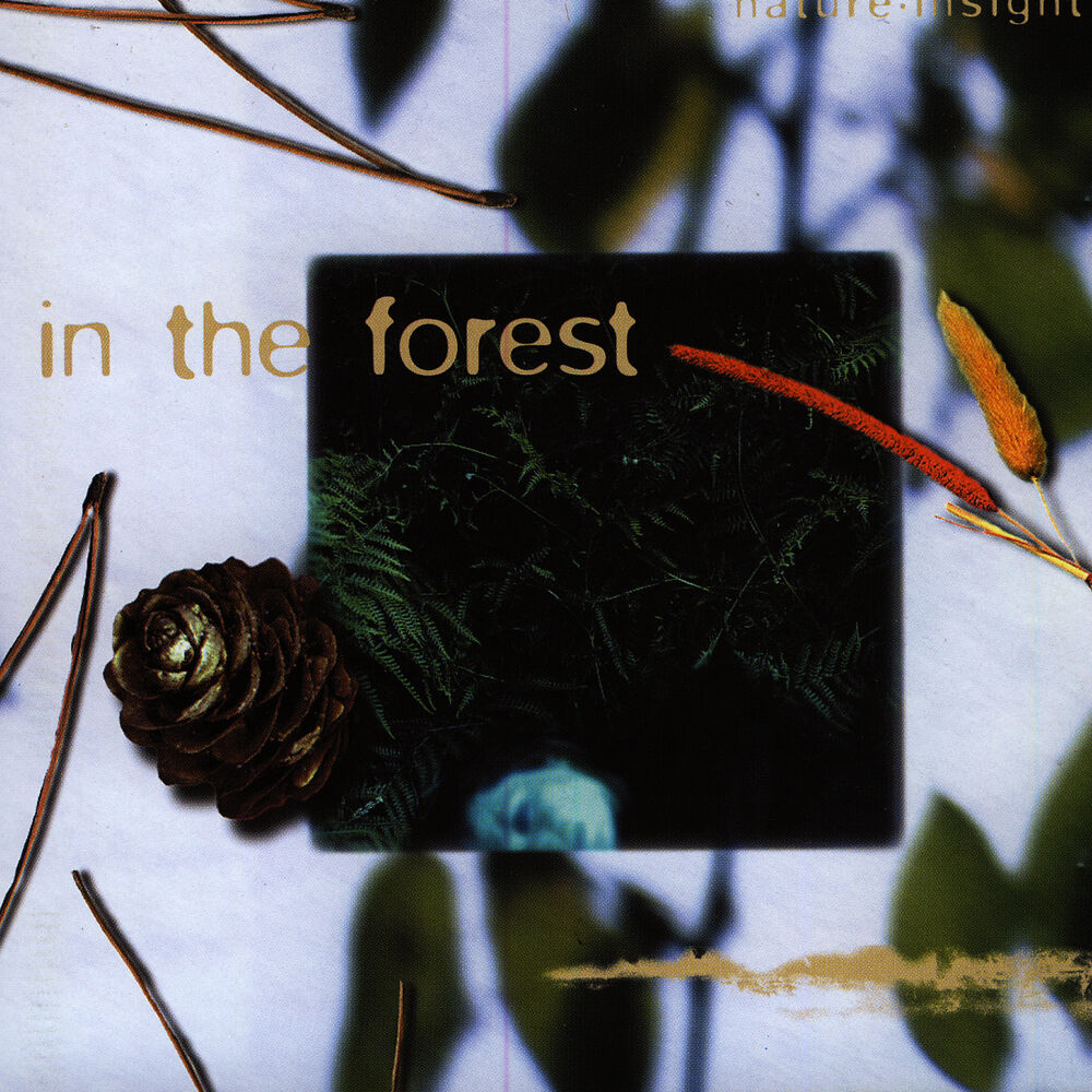Picture of In The Forest