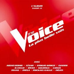 The Voice : La plus belle voix (Saison 14)