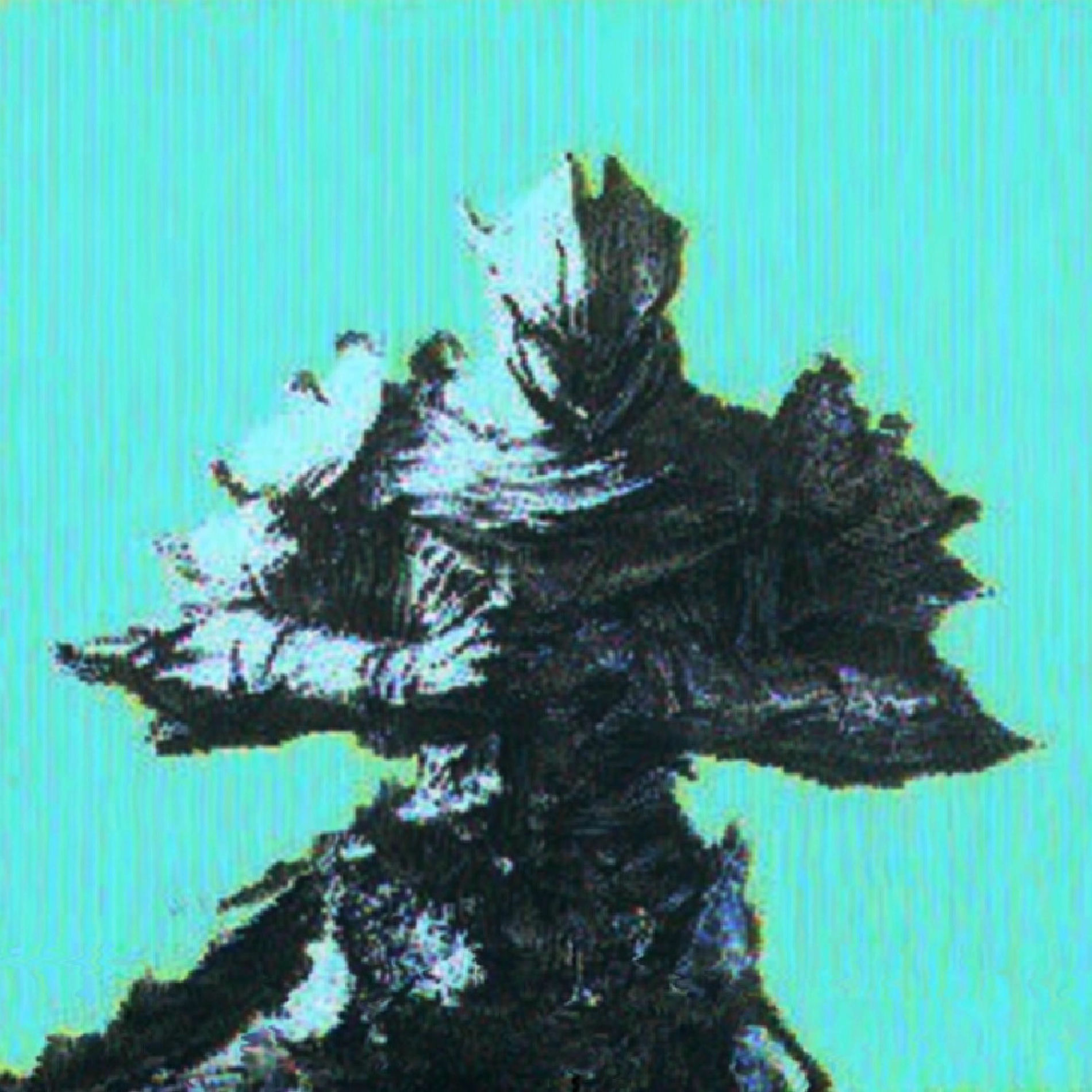 Album cover of VEDA