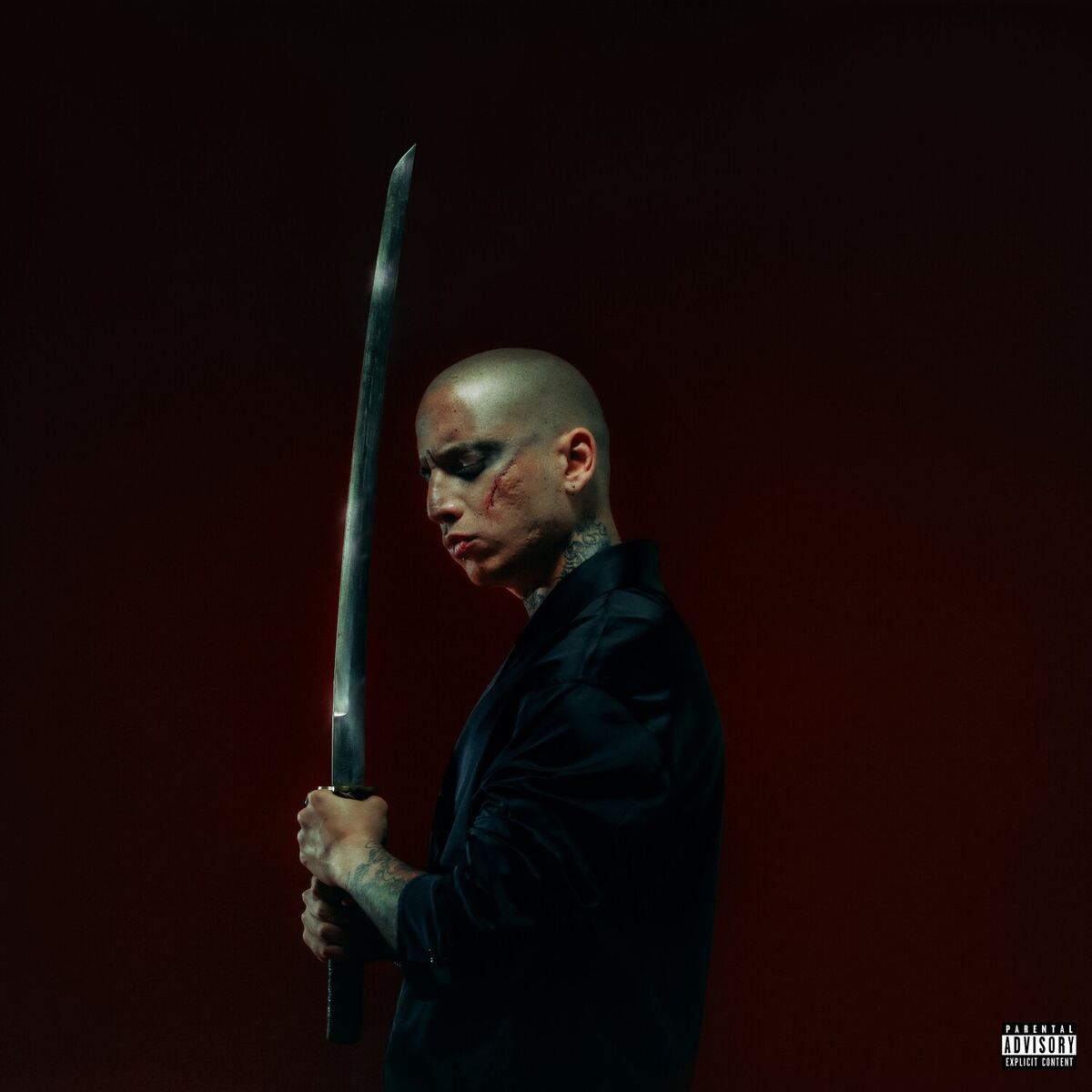 Album cover of YSIVII