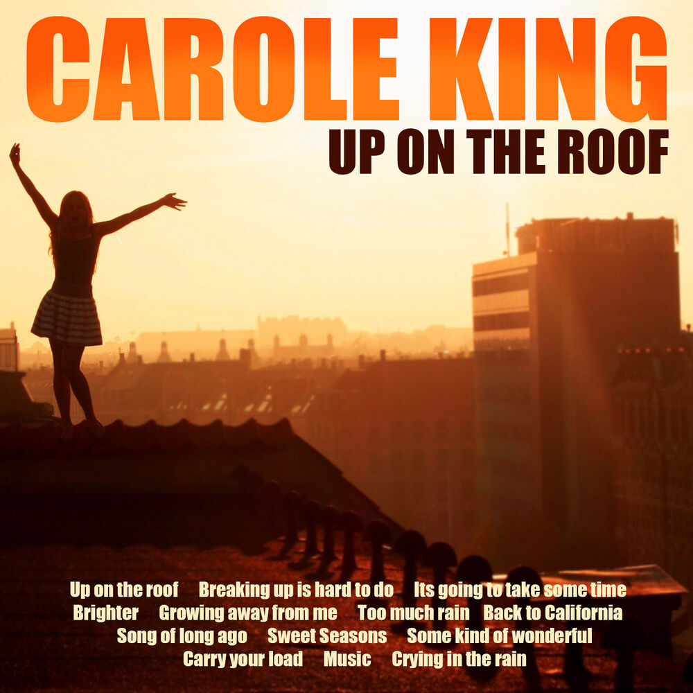 Picture of Up on the Roof