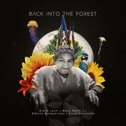 Cover of Back into the Forest