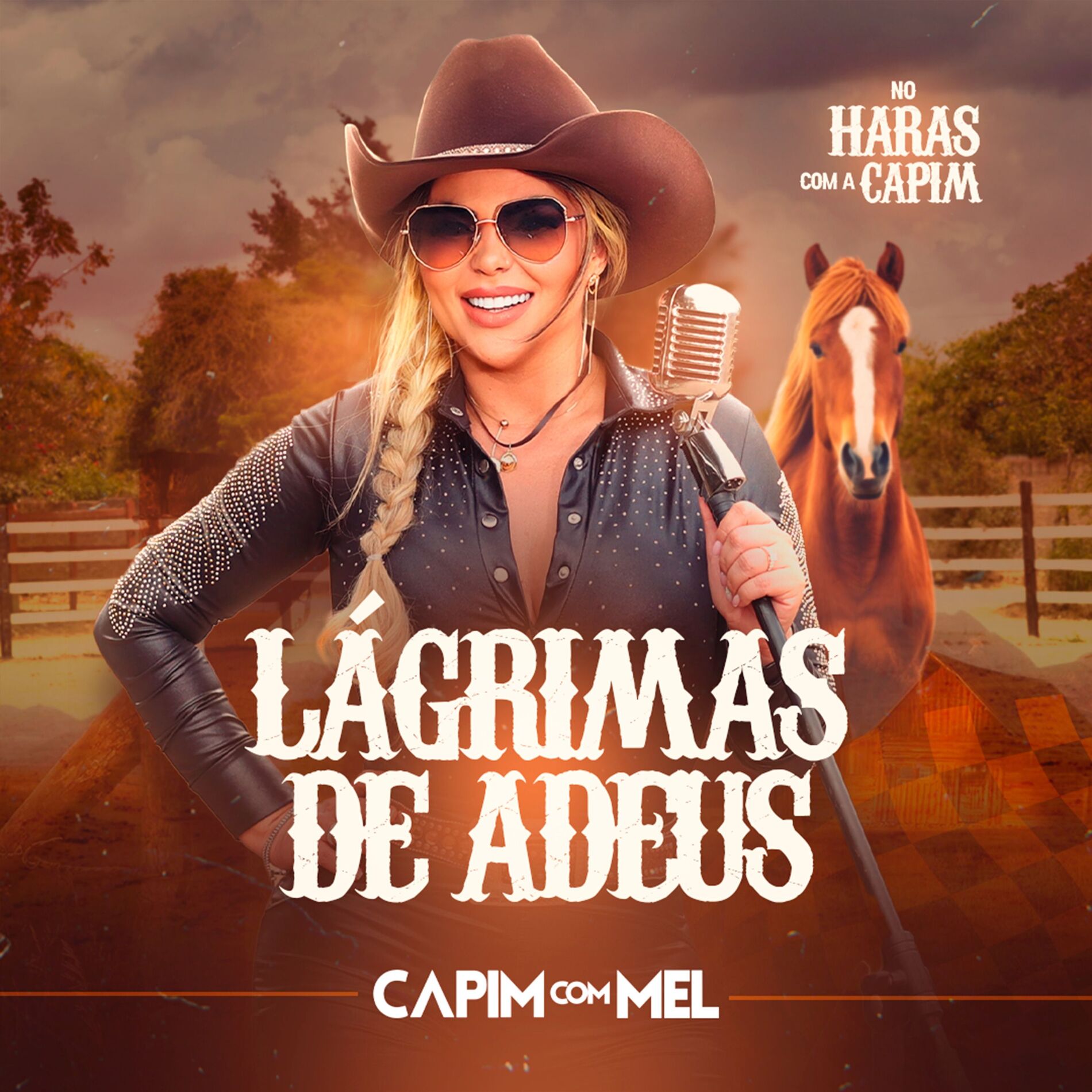 Album cover of Lágrimas de Adeus