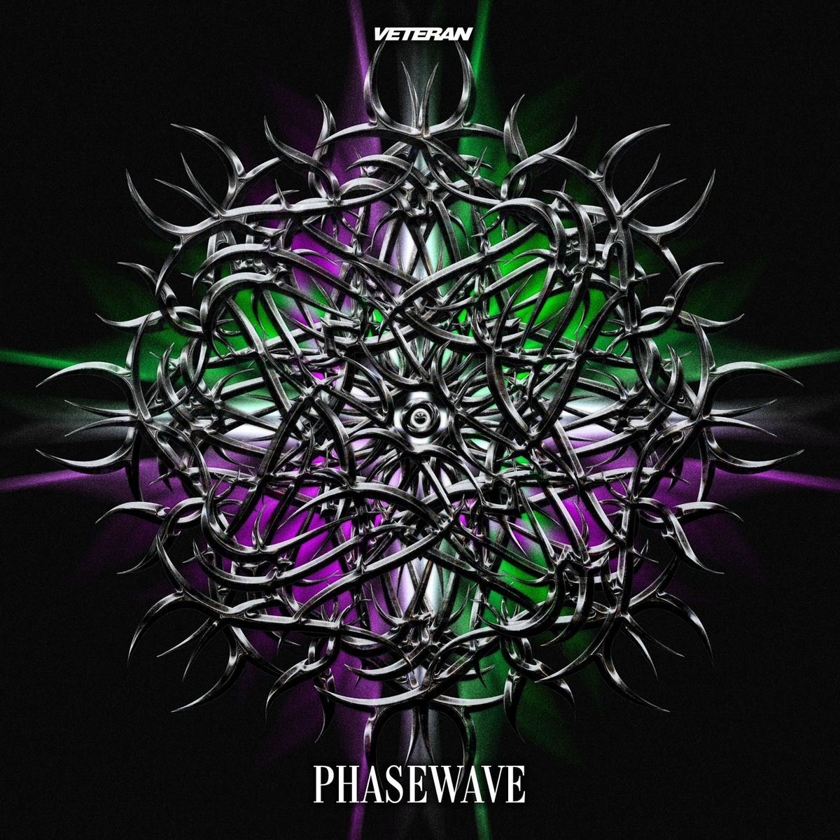 Album cover of veteran