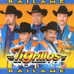 Cover of Báilame