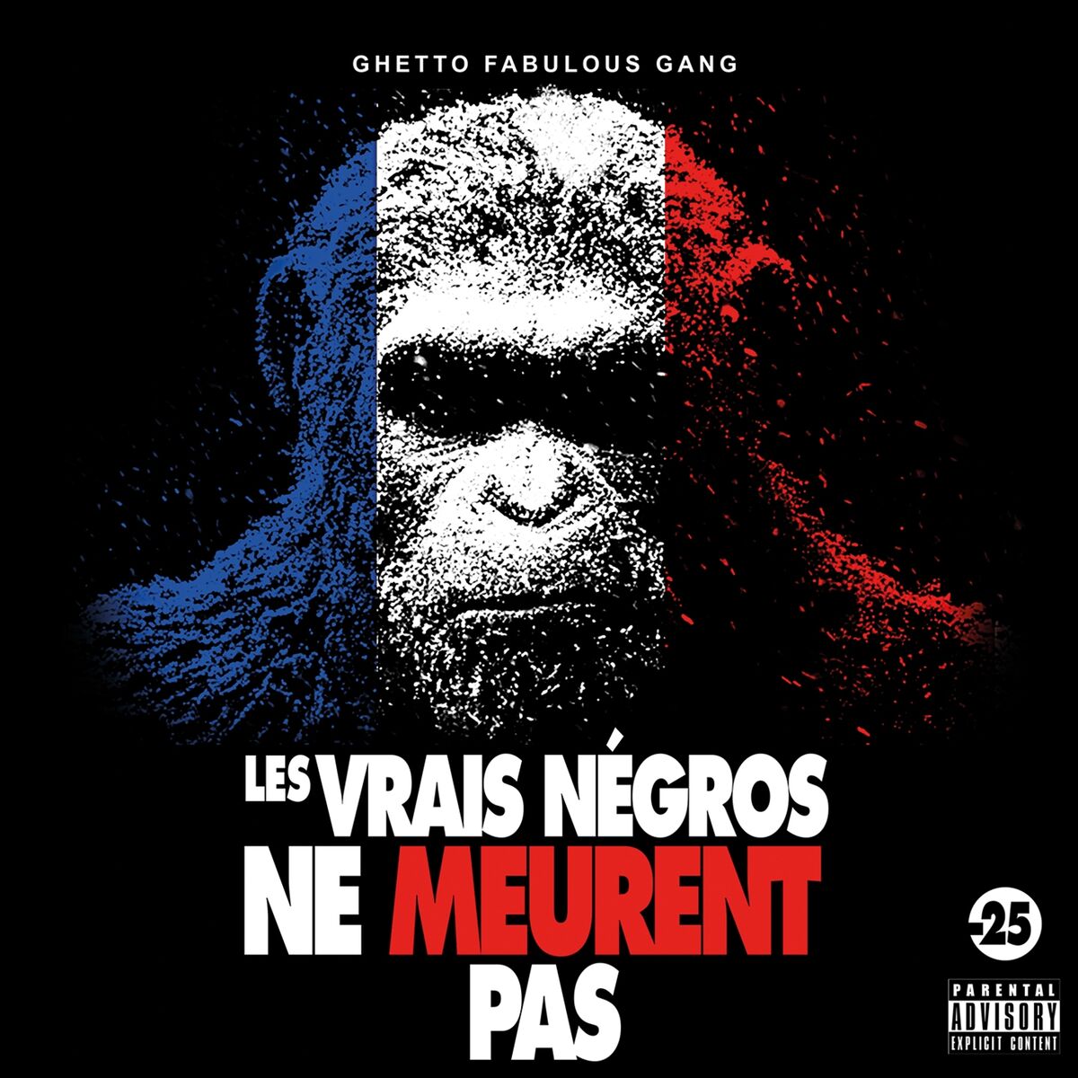 Album cover of Les vrais négros ne meurent pas : interdit aux-25 ans