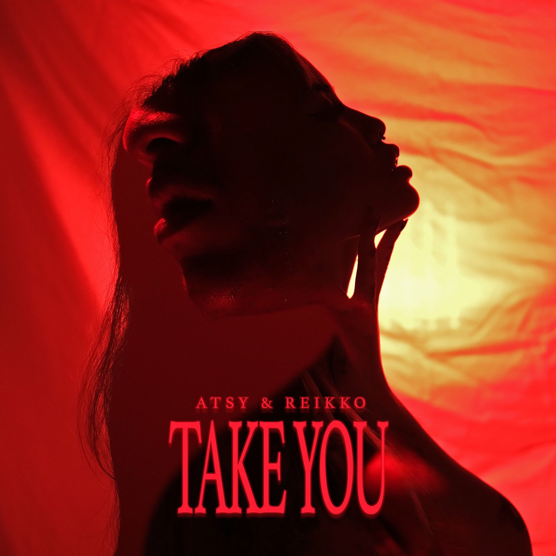 Album cover of Take You