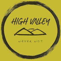 Cover of Never Not
