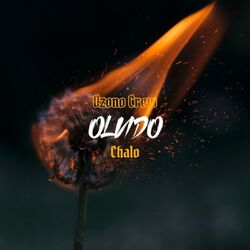Cover of Olvido