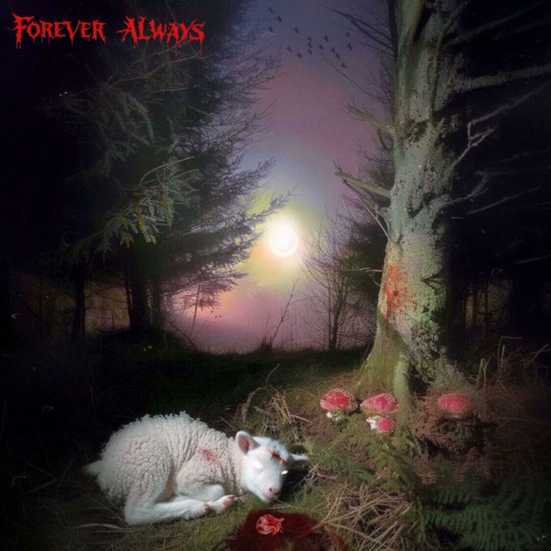 Album cover of Forever, Always