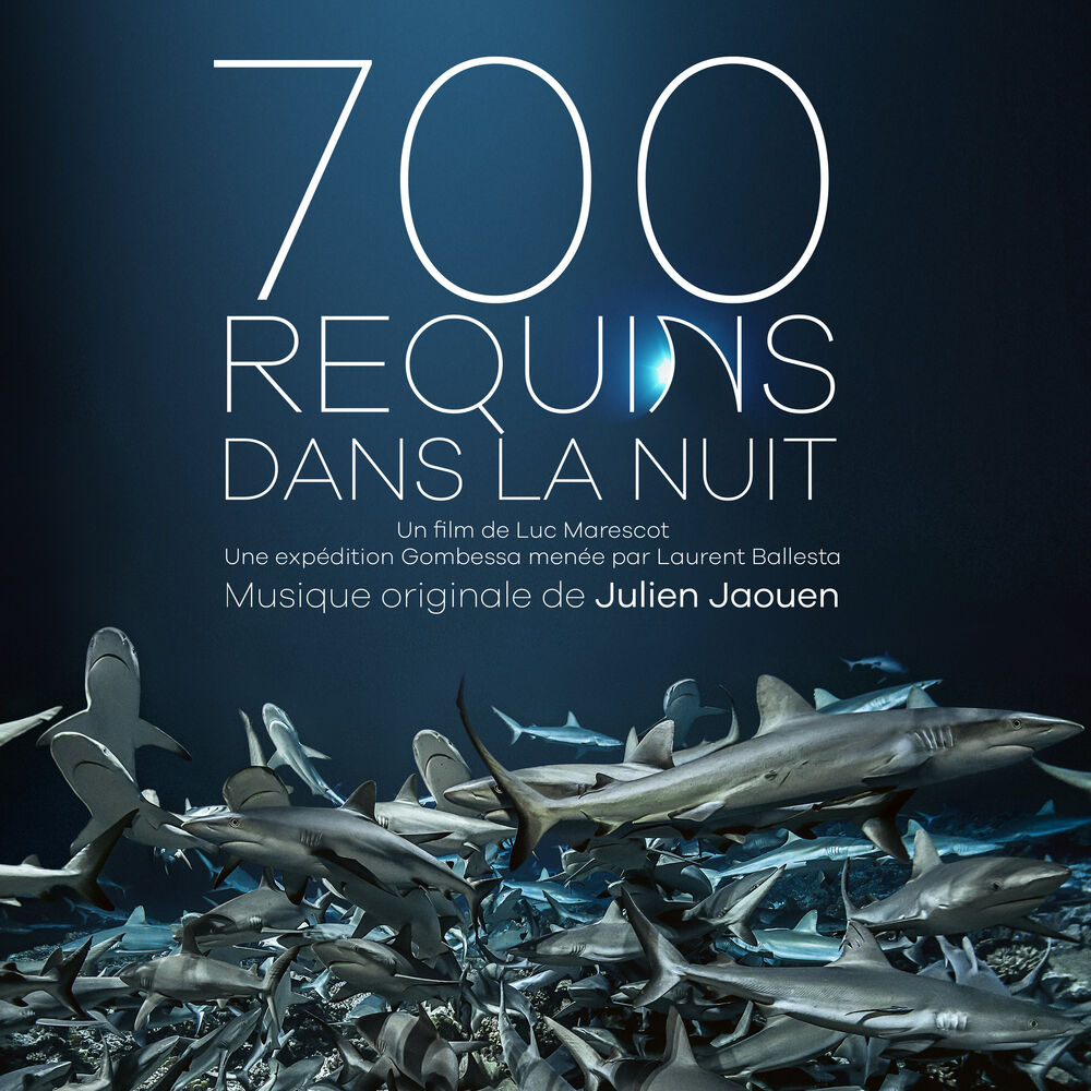 Picture of 700 requins dans la nuit (Bande originale du film)