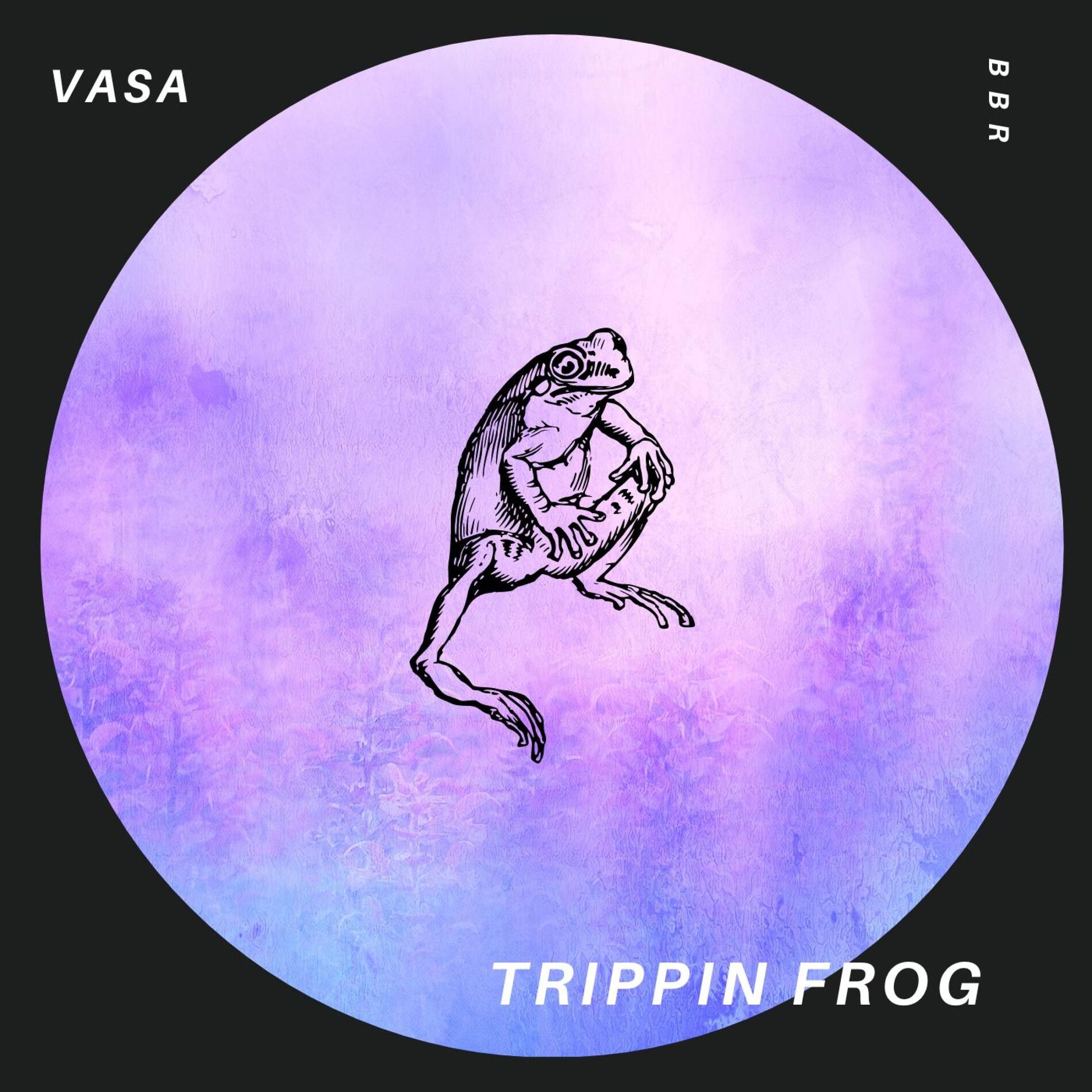 Album cover of Trippin frog