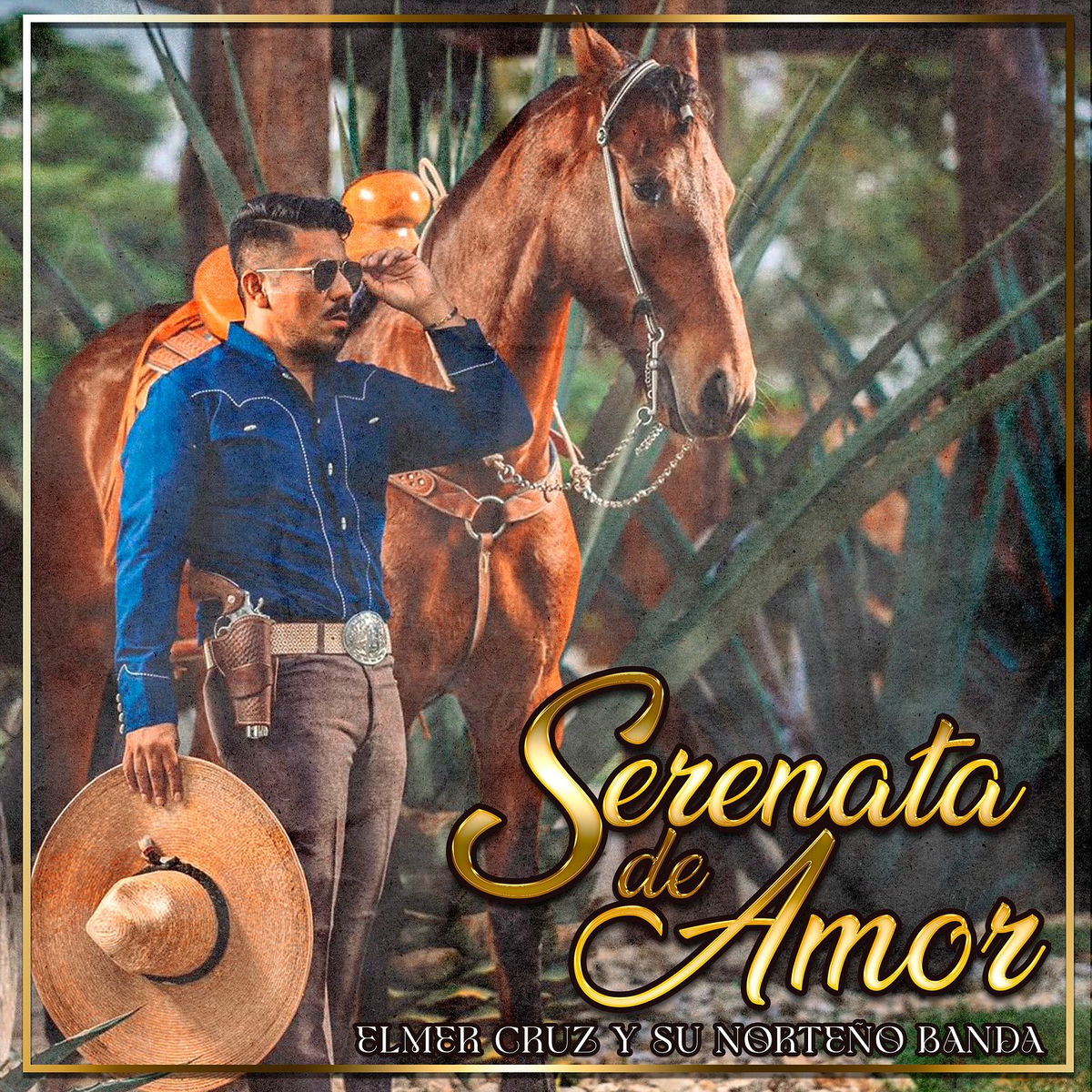 Album cover of Serenata De Amor
