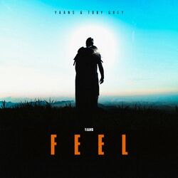 Cover of Feel