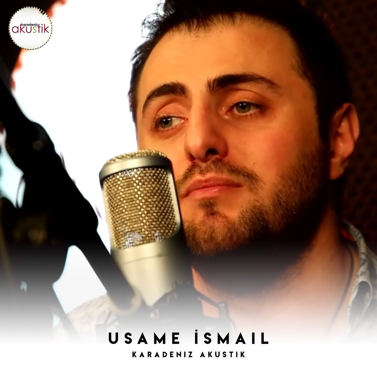 Album cover of Tavuklar Pulli Pulli