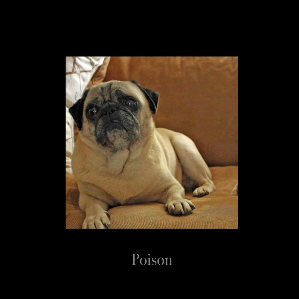 Picture of Poison