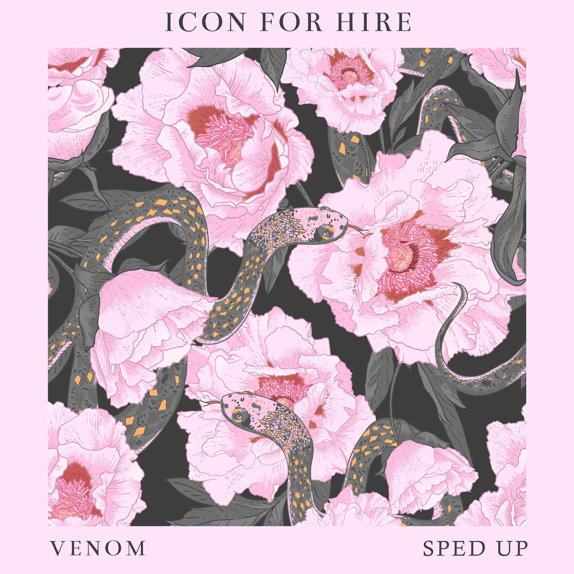 Album cover of Venom