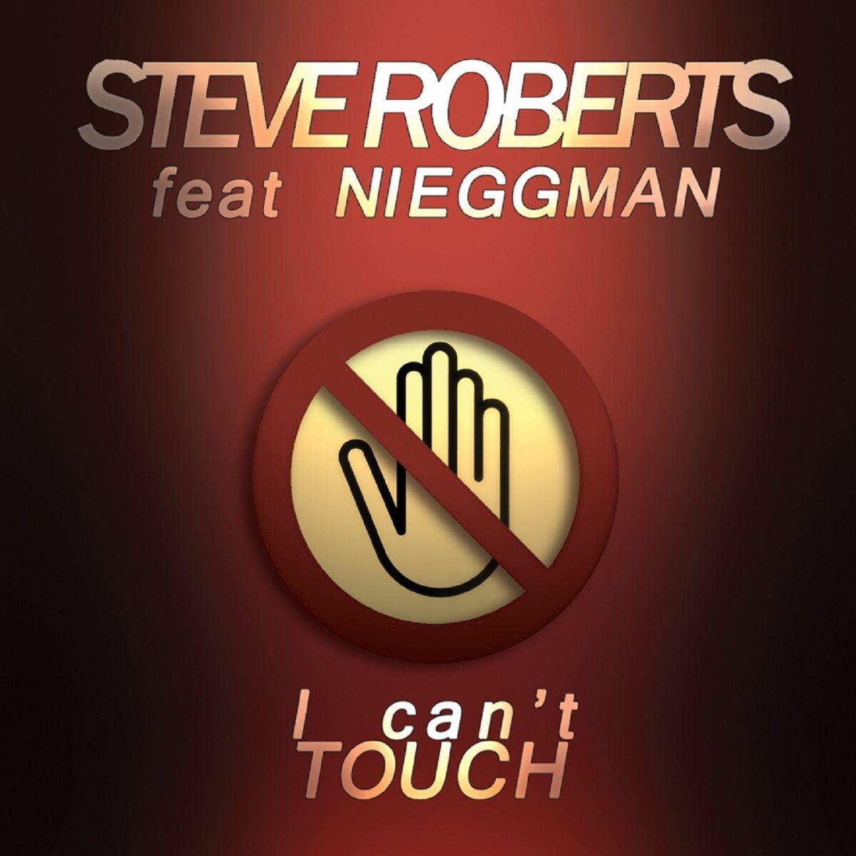 Album cover of I Can't Touch