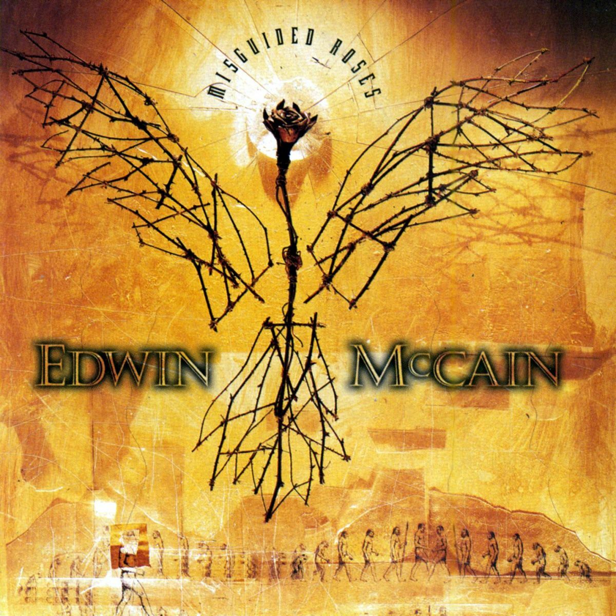 Album cover of Misguided Roses