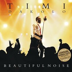 Cover of Beautiful Noise