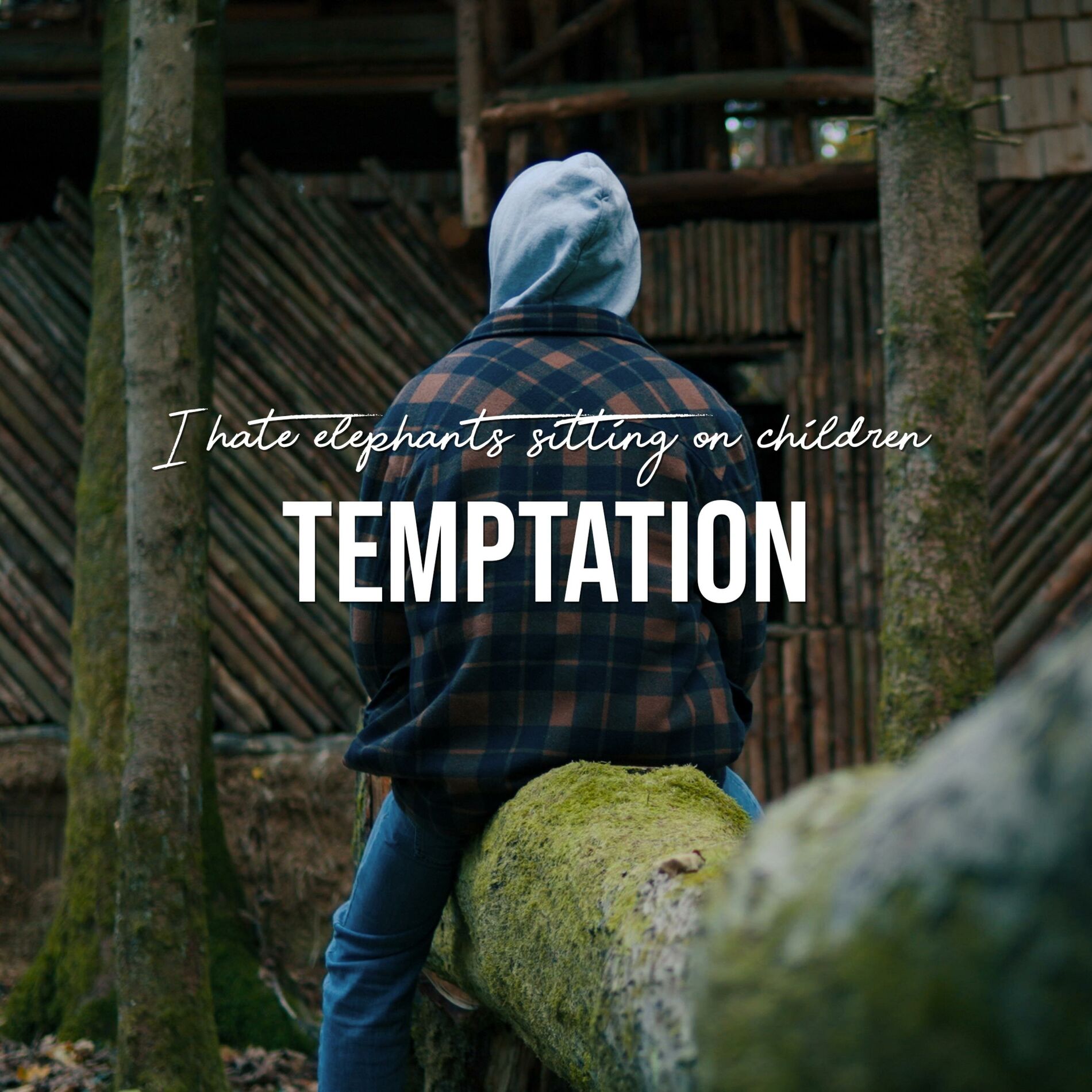 Album cover of Temptation