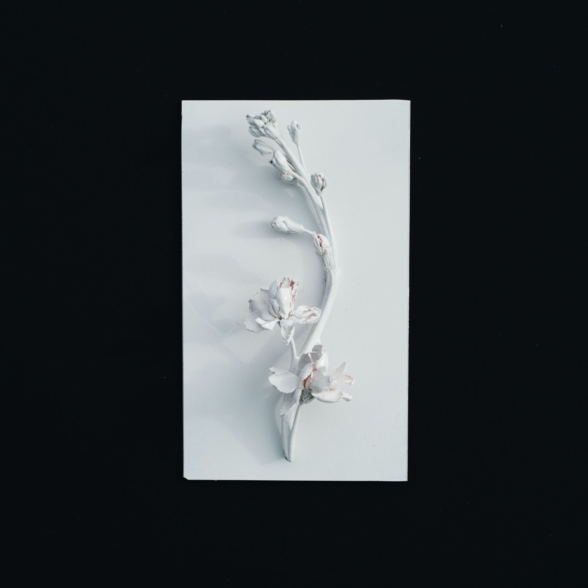 Album cover of Soul