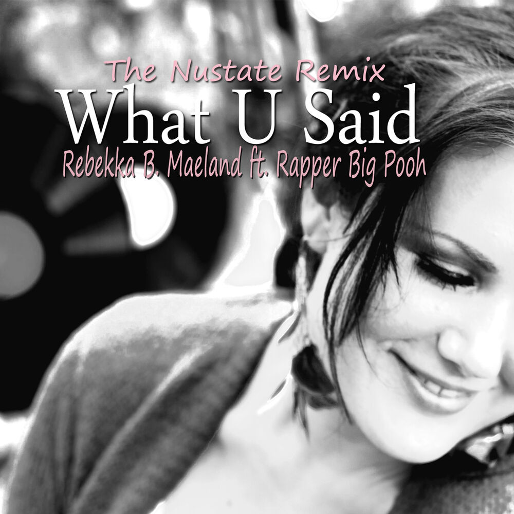 Picture of What U Said (feat. Rapper Big Pooh) [The Nustate Remix]