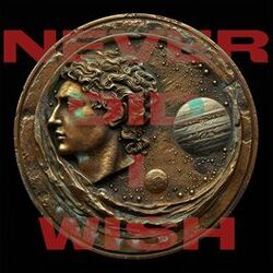Cover of NEVER DID I WISH (FOR THIS TO HAPPEN)