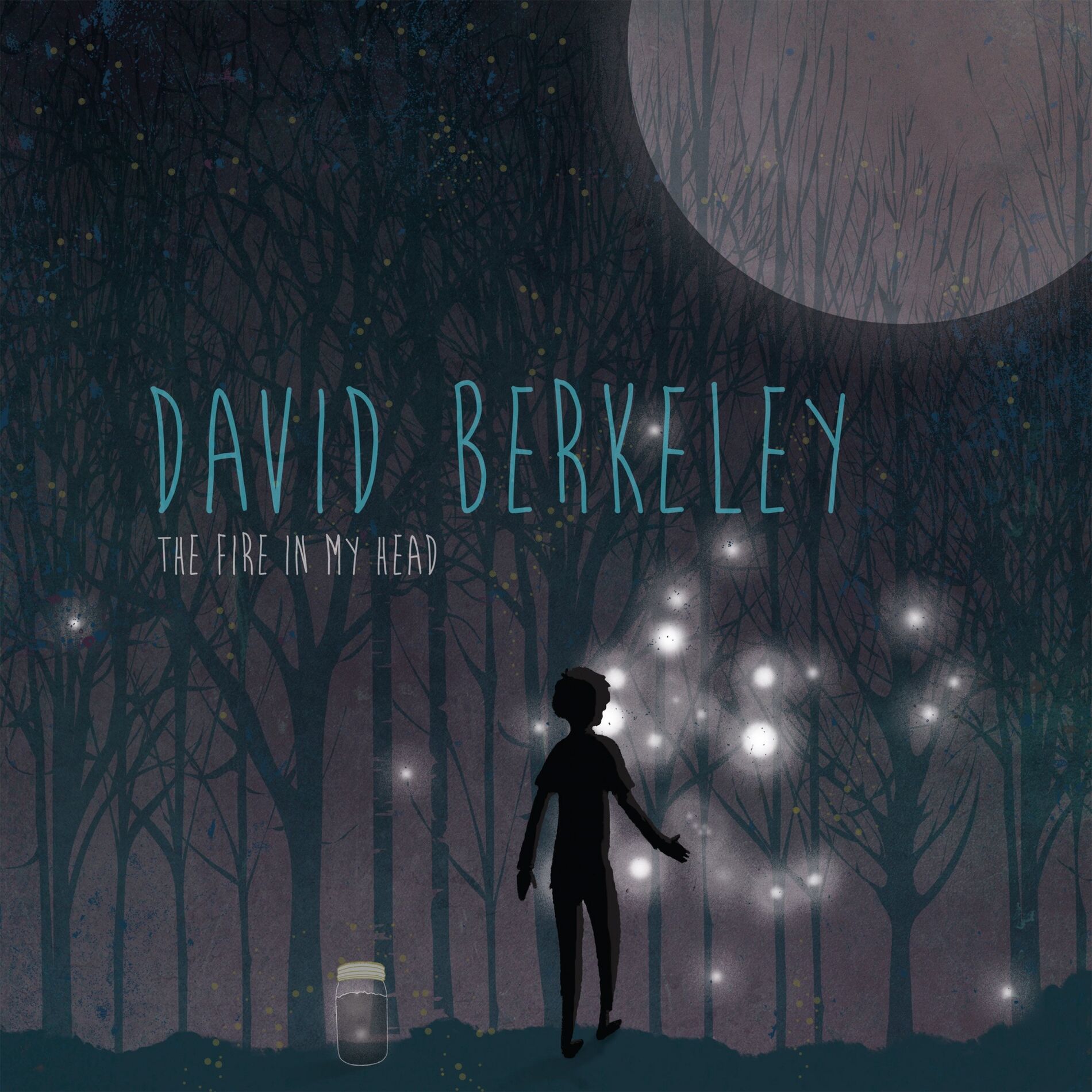 Album cover of The Fire in My Head