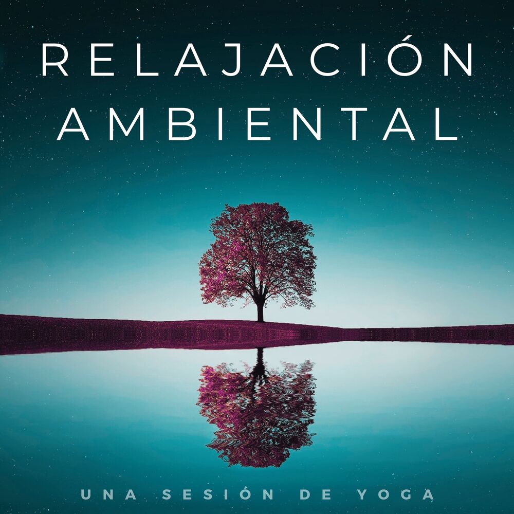 Picture of Relajación Ambiental: Una Sesión De Yoga