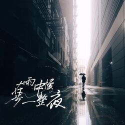 Cover of 在雨中漫步一整夜