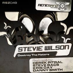 Cover of Destroy the Haters