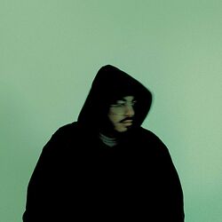Cover of concussion