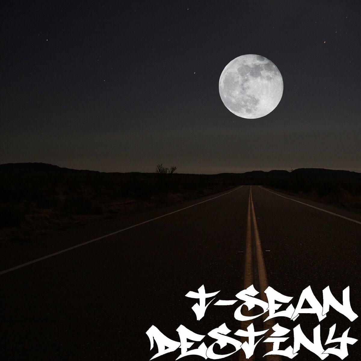 Album cover of Destiny
