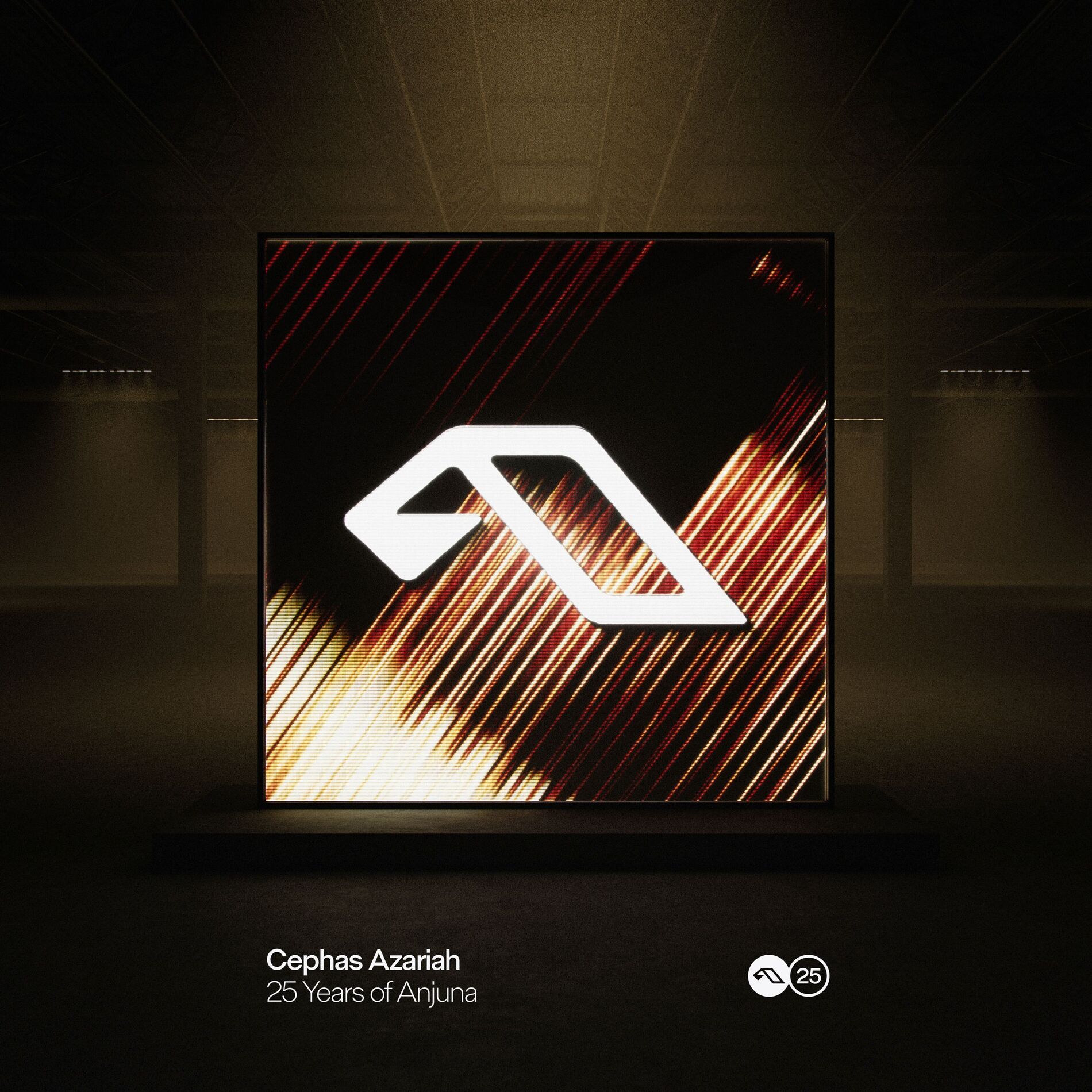 Album cover of 25 Years Of Anjuna Mixed By Cephas Azariah