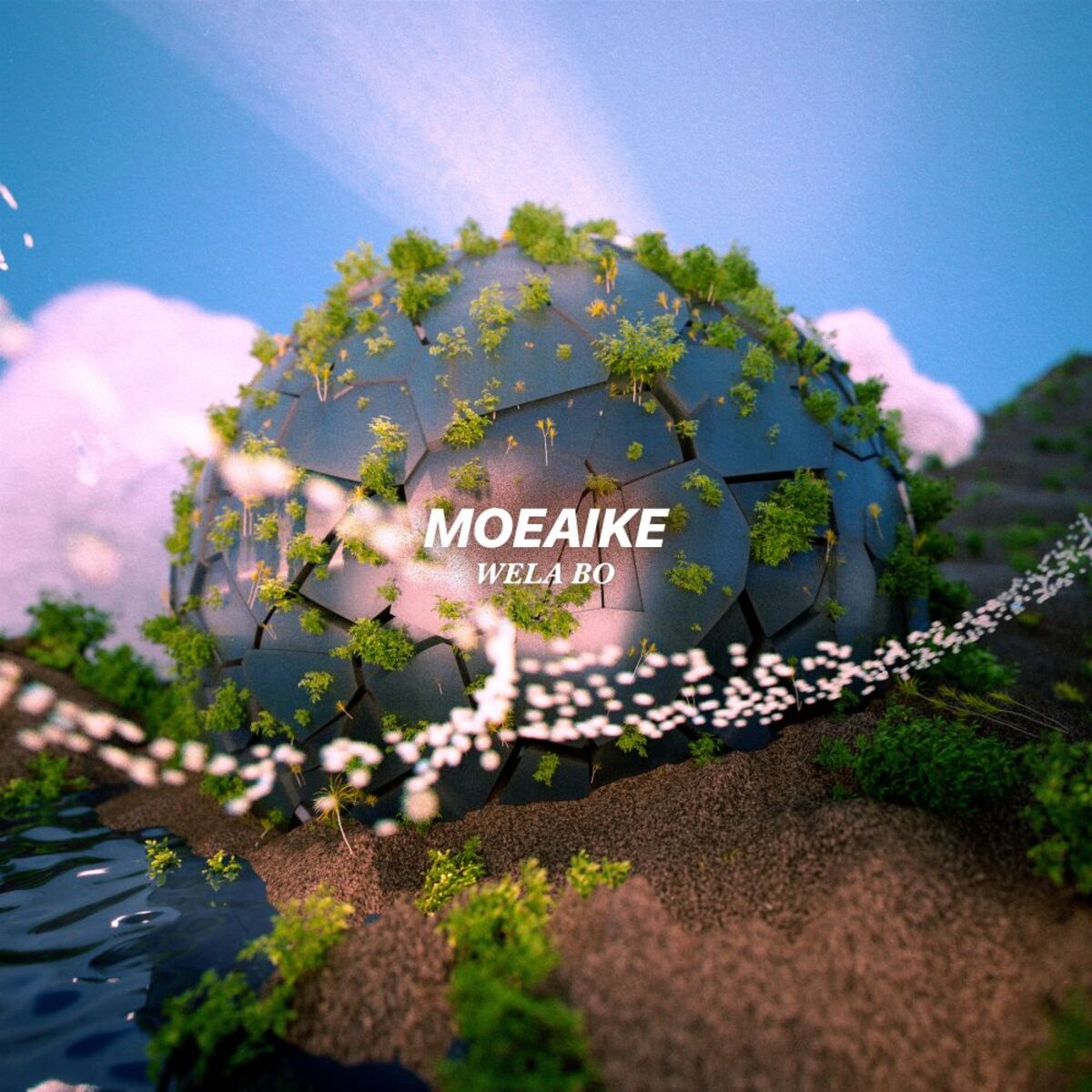 Album cover of Wela Bo