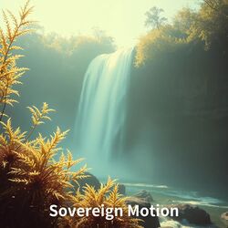 Sovereign Motion