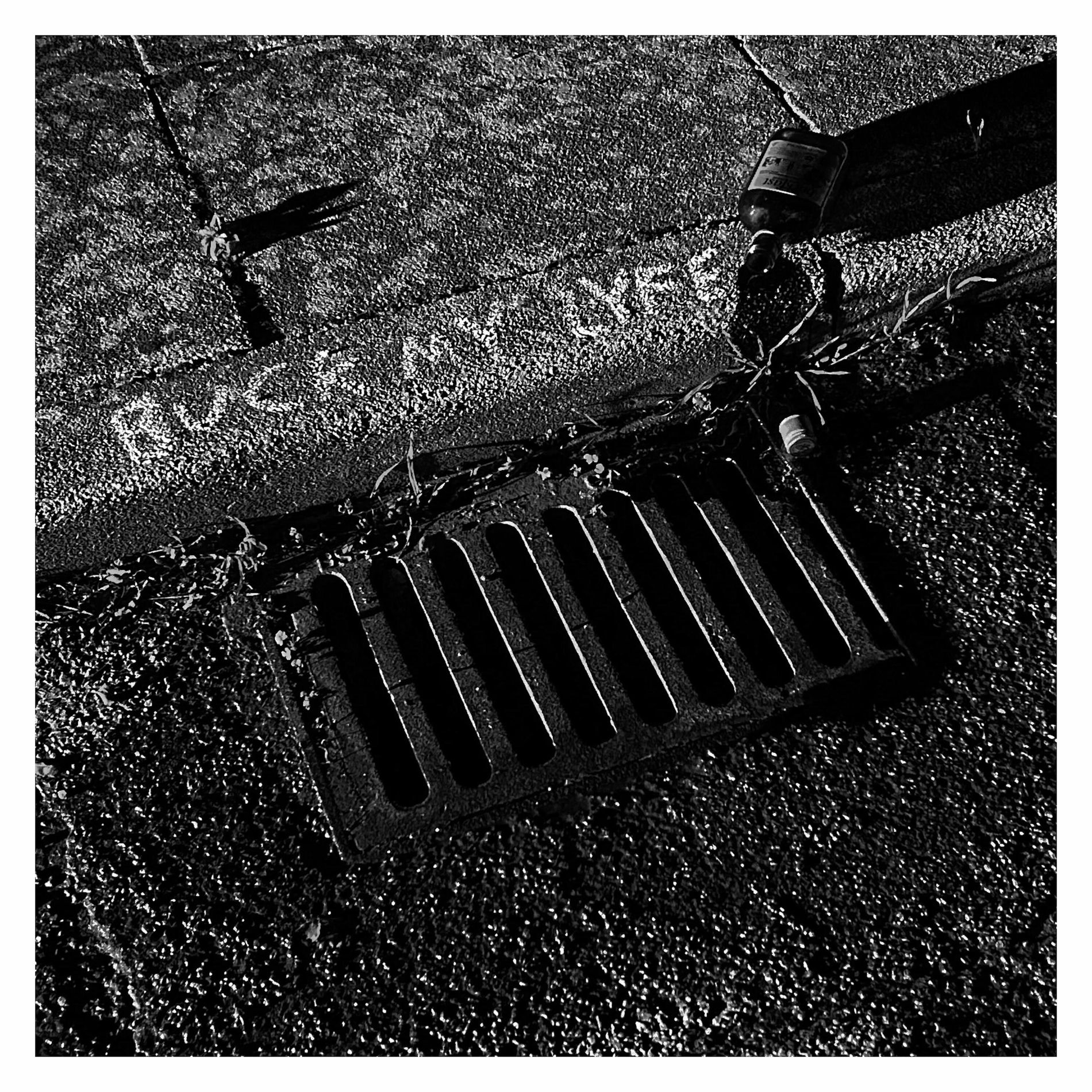 Album cover of Buck