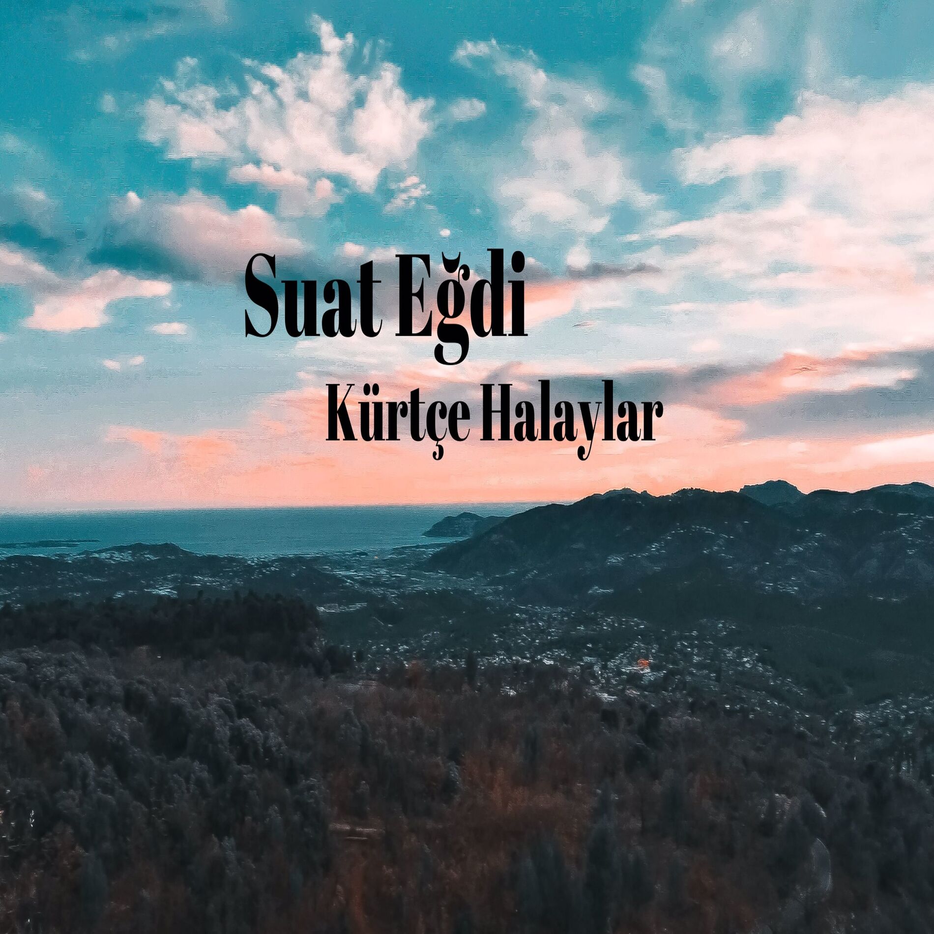 Album cover of Kürtçe Halaylar