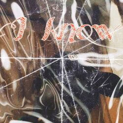 Cover of I know