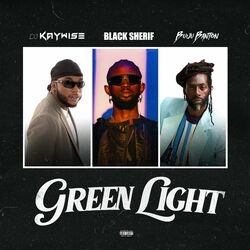 Cover of Green Light