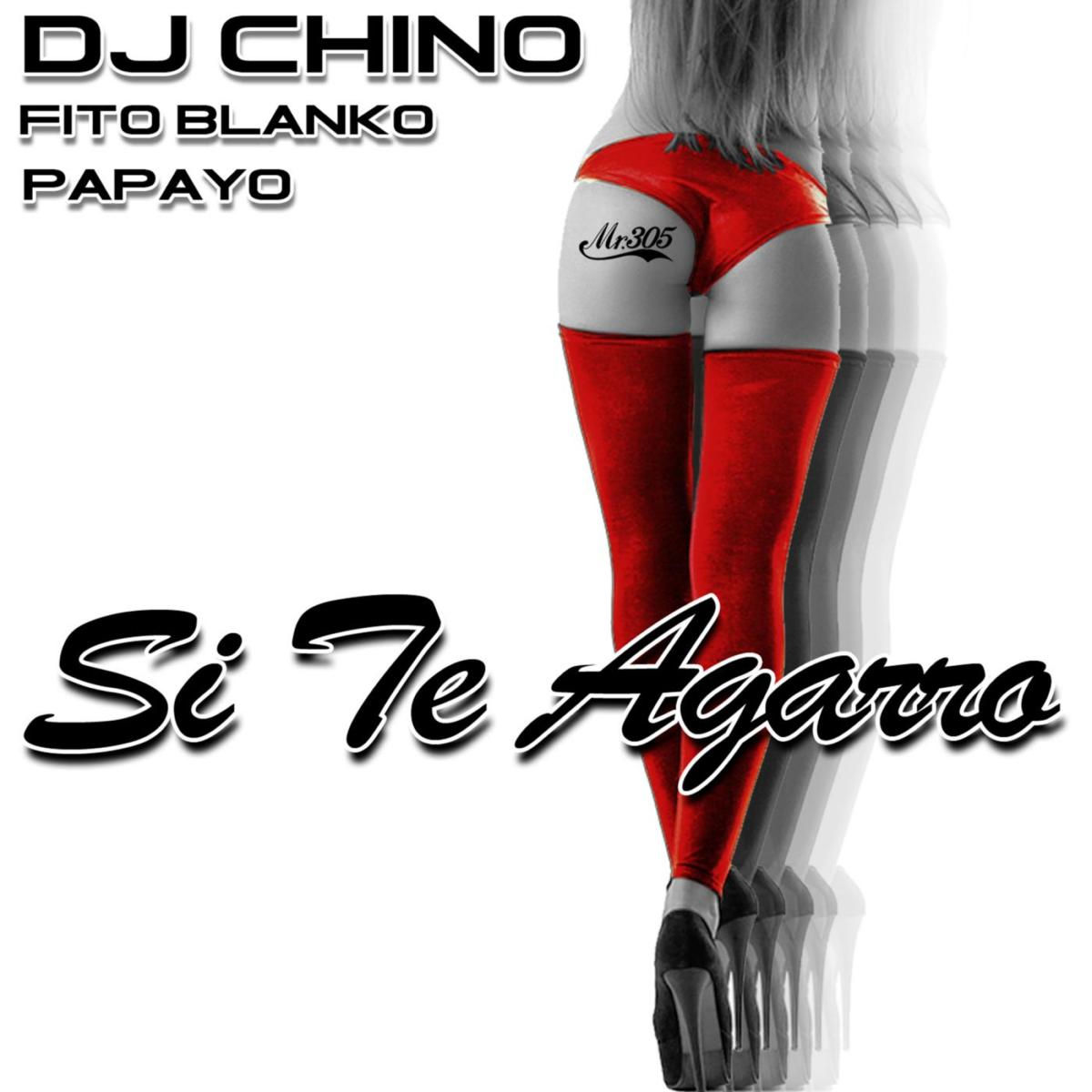 Album cover of Si Te Agarro (feat. Fito Blanko & Papayo)