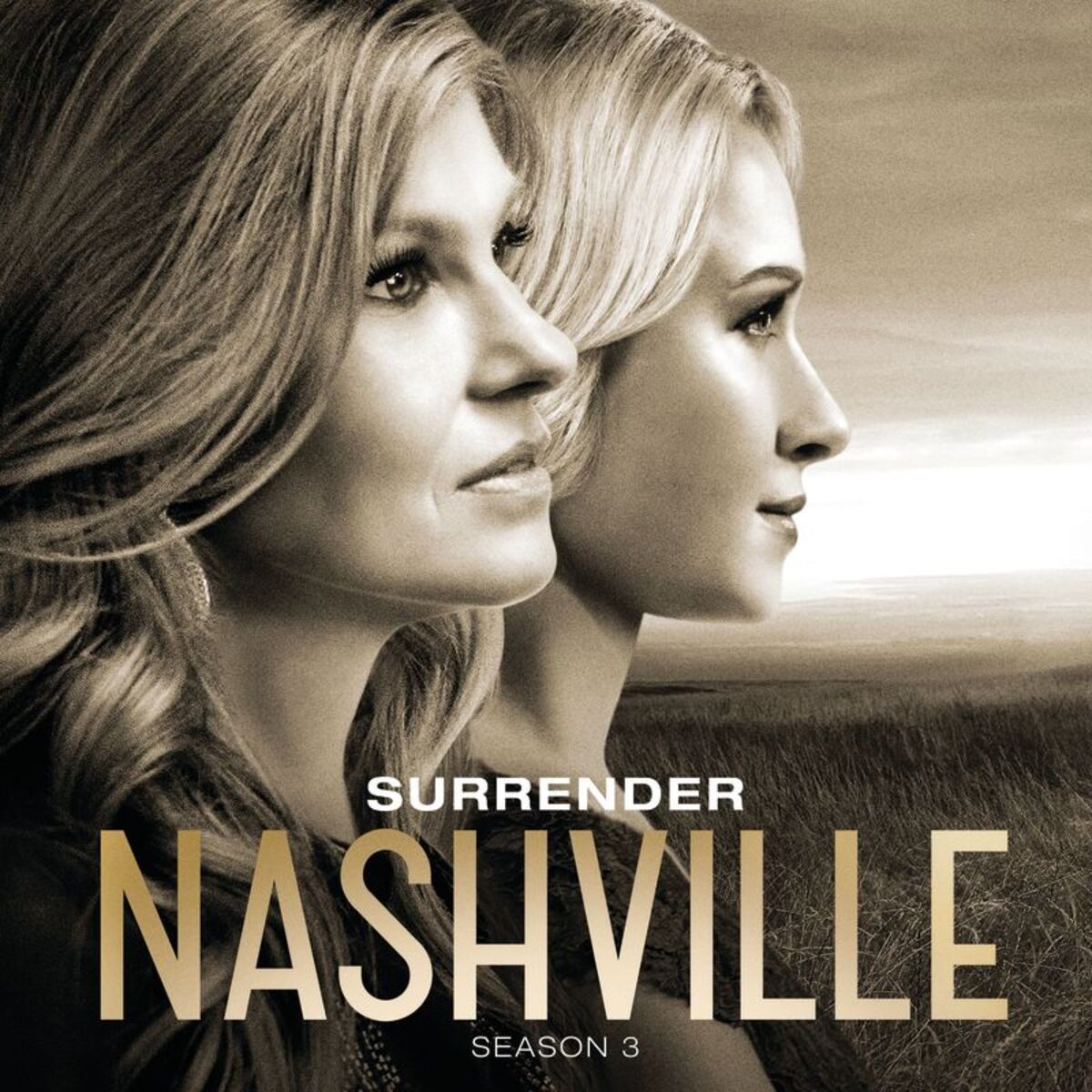 Album cover of Surrender